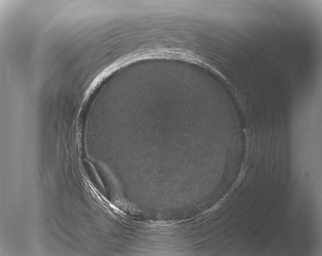 X0000085811506200703301511