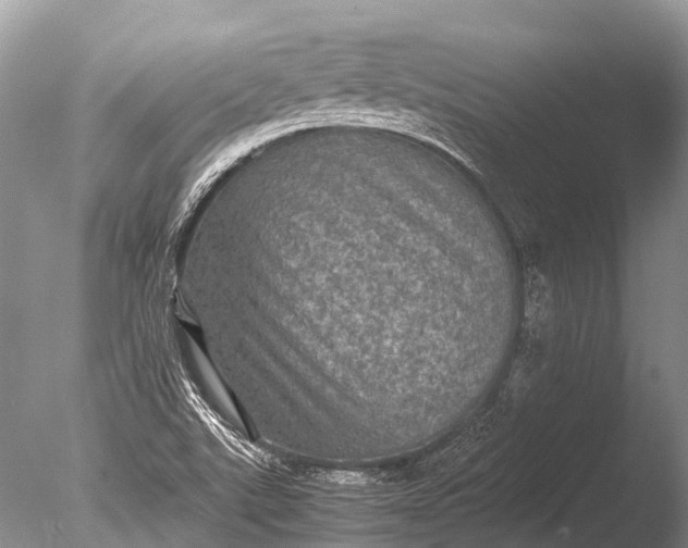 X0000085811507200703301511