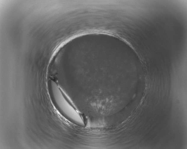 X0000085811508200703301511