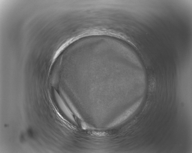 X0000085811509200703301511