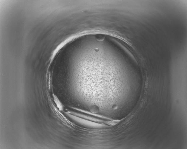 X0000085811510200703301511