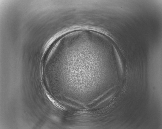 X0000085811511200703301511