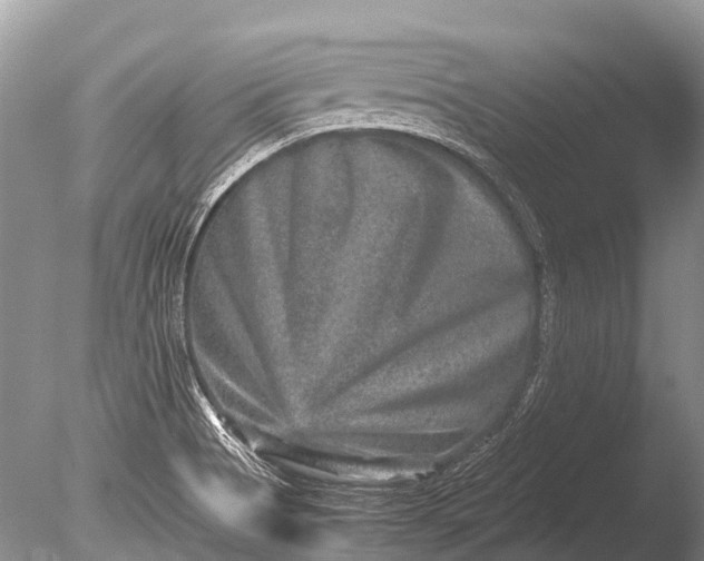 X0000085811513200703301511