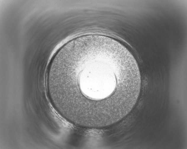 X0000085811514200703301511