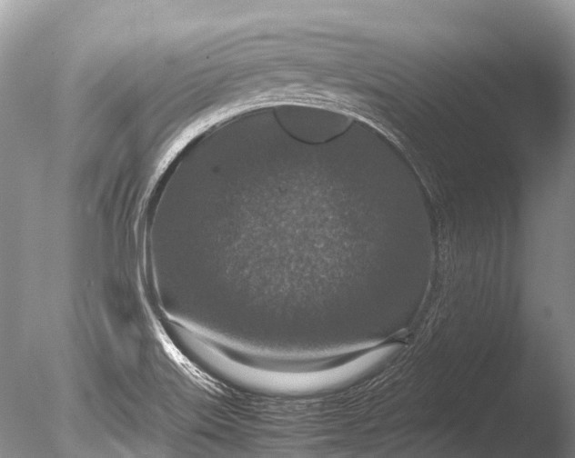 X0000085811515200703301511