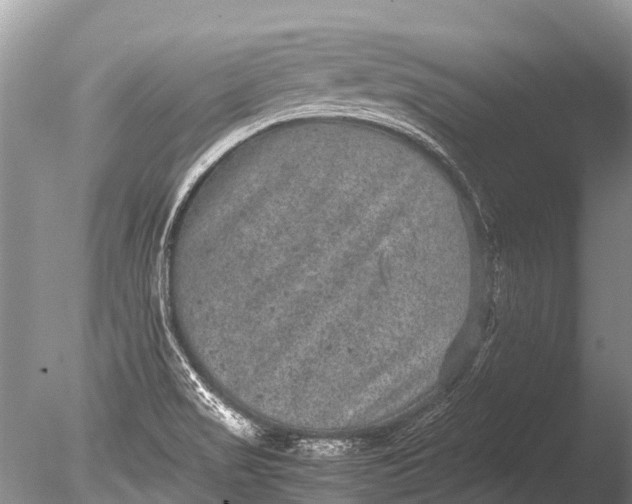 X0000085811517200703301511