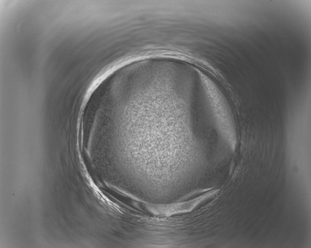 X0000085811520200703301511