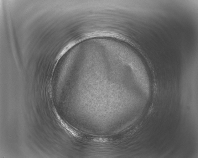 X0000085811521200703301511