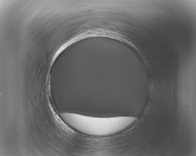 X0000085811522200703301511