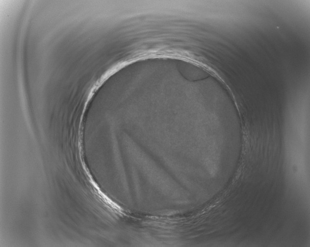 X0000085811525200703301511