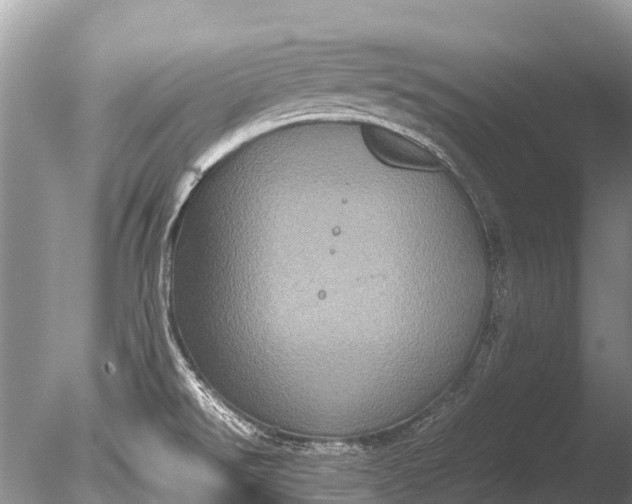 X0000085811526200703301511