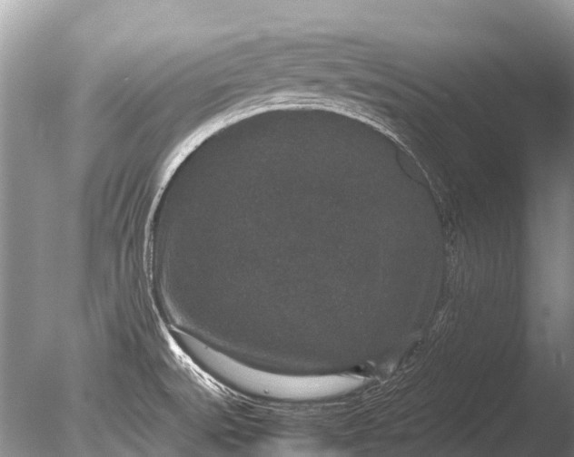 X0000085811527200703301511