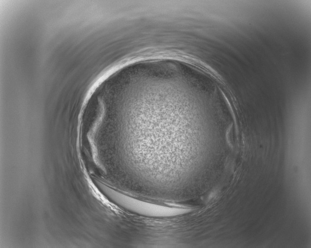 X0000085811528200703301511