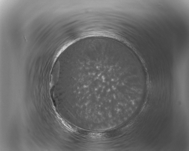 X0000085811529200703301511