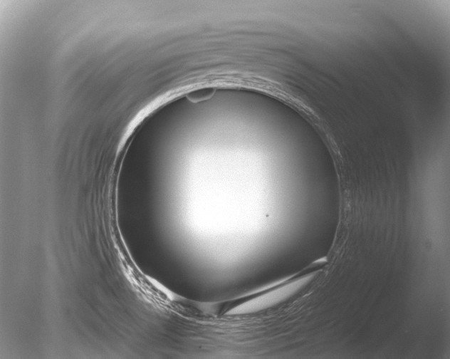 X0000085811530200703301511