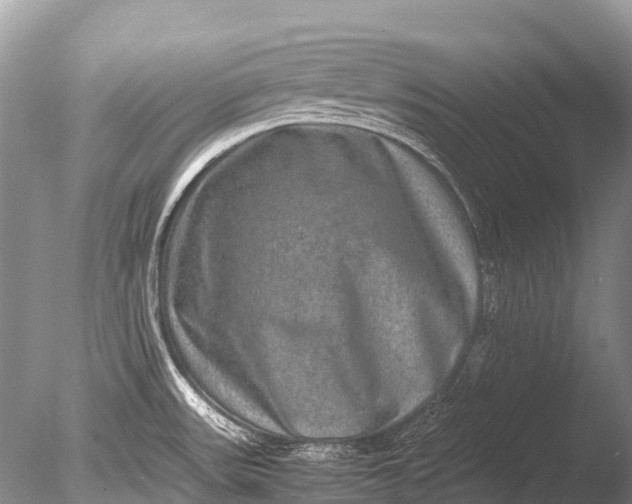 X0000085811531200703301511