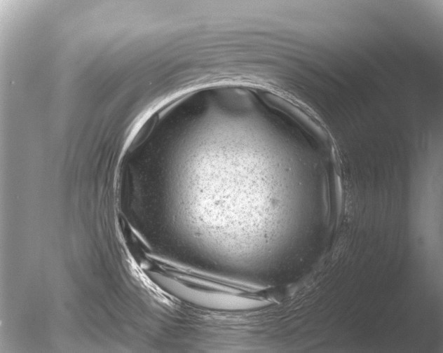 X0000085811532200703301511