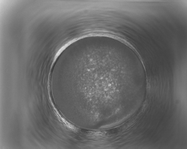 X0000085811533200703301511