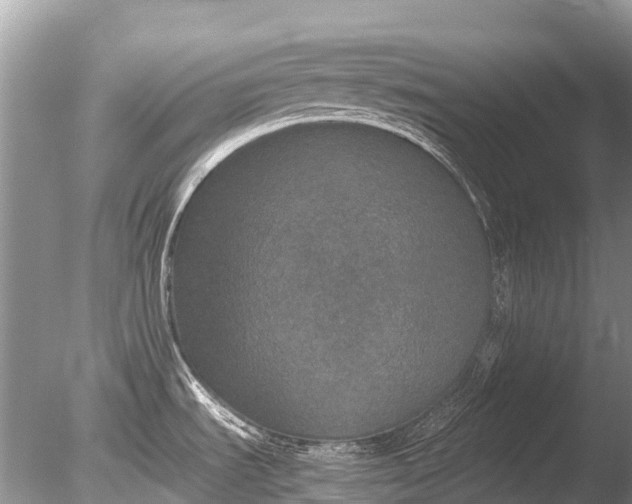 X0000085811535200703301511