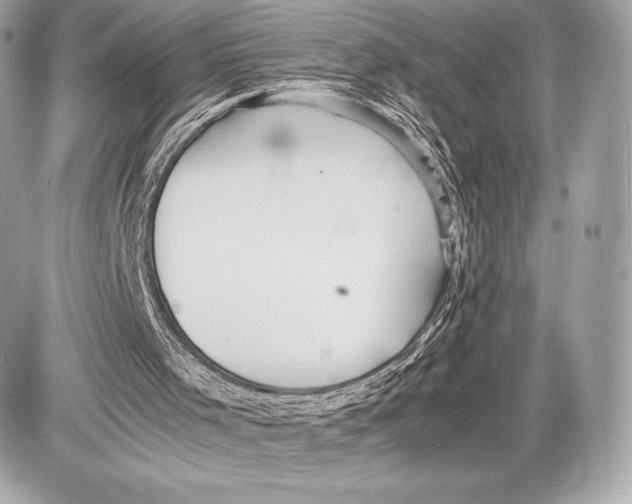 X0000085810001200704091618