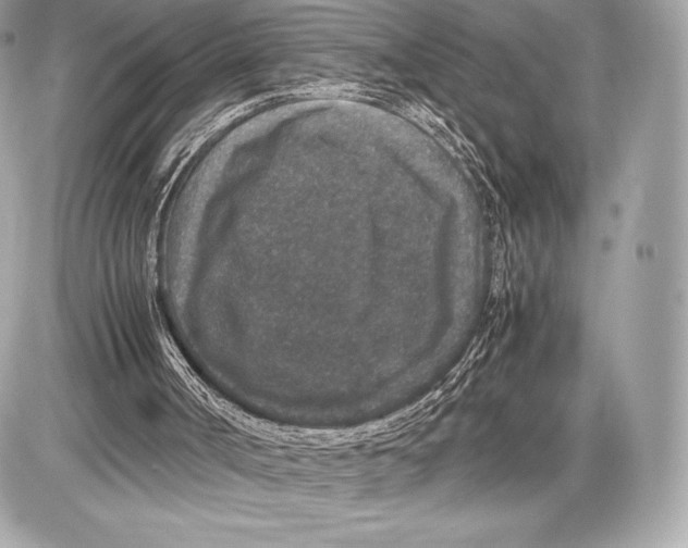 X0000085810002200704091618