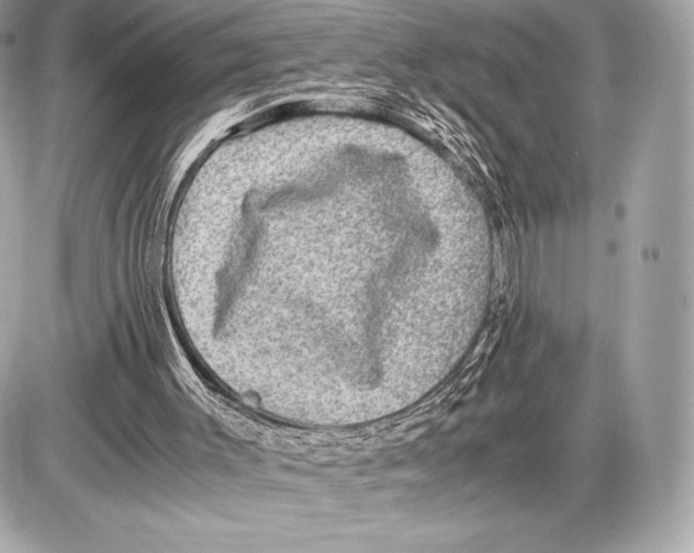 X0000085810003200704091618