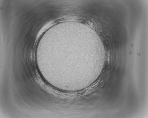 X0000085810004200704091618