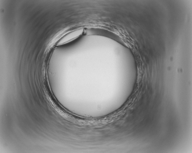 X0000085810005200704091618