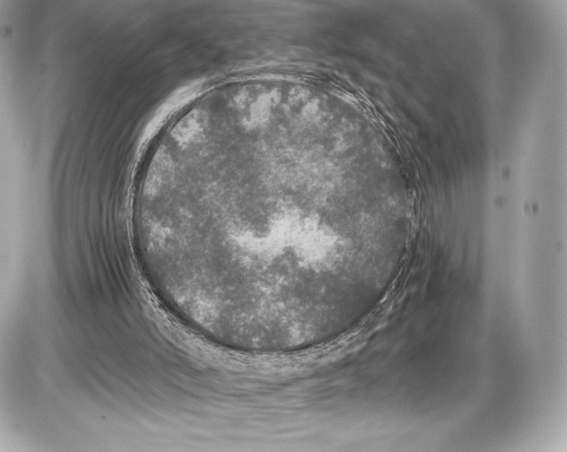 X0000085810006200704091618