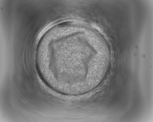 X0000085810007200704091618