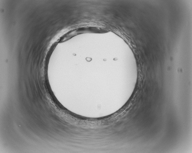 X0000085810008200704091618