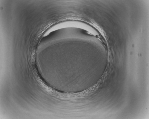 X0000085810009200704091618