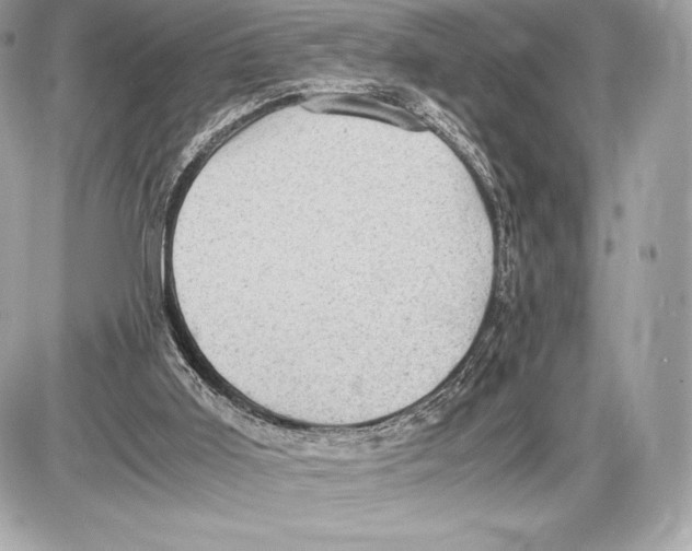 X0000085810011200704091618