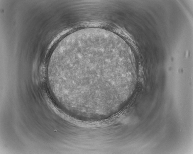 X0000085810012200704091618