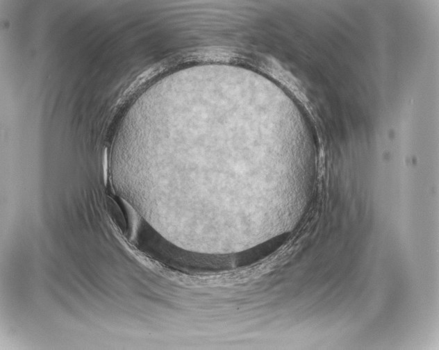 X0000085810013200704091618