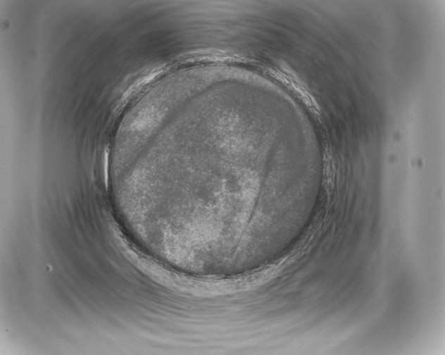 X0000085810014200704091618