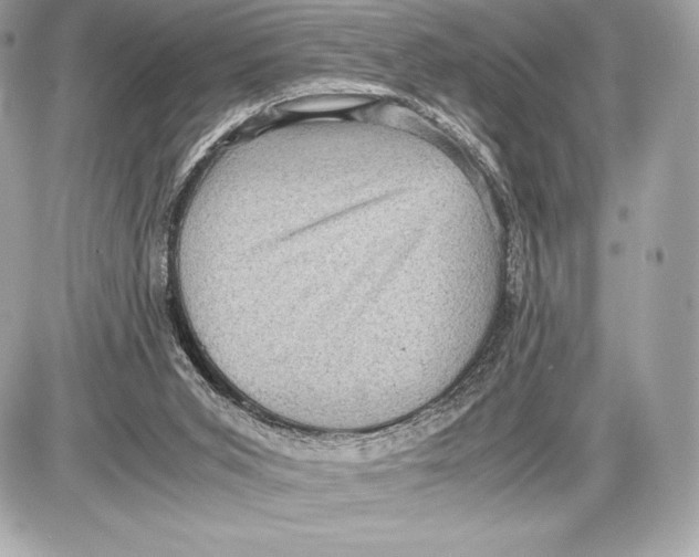 X0000085810015200704091618