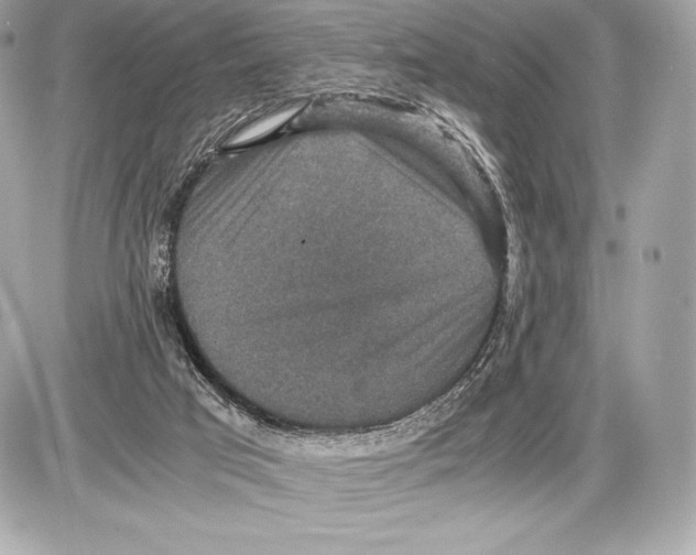 X0000085810017200704091618