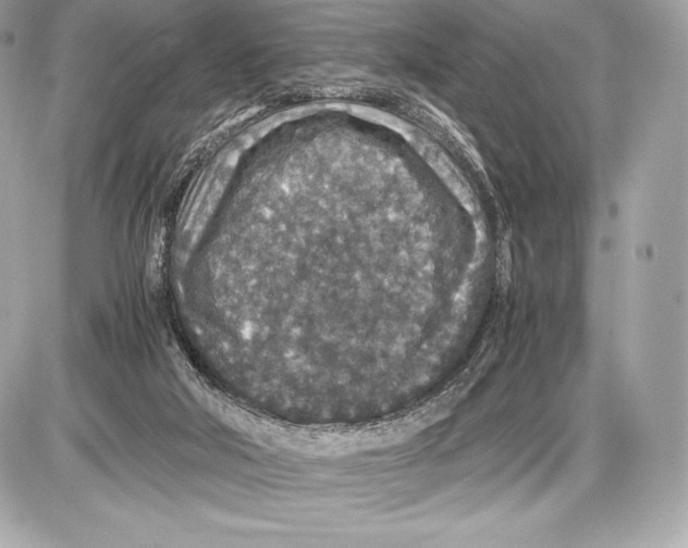 X0000085810018200704091618