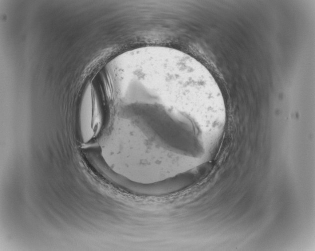 X0000085810019200704091618