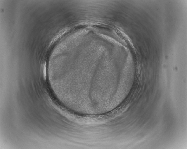 X0000085810020200704091618