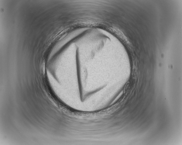 X0000085810021200704091618