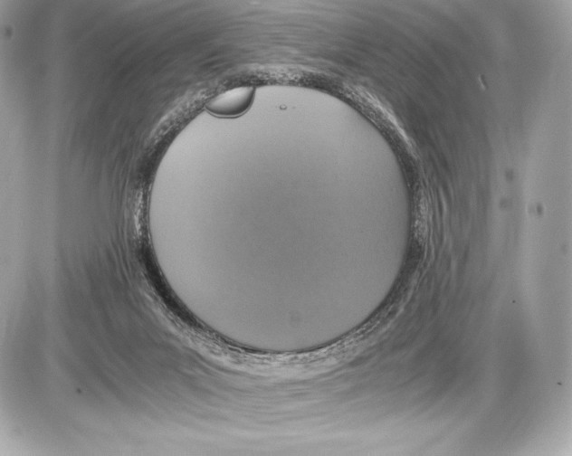 X0000085810023200704091618