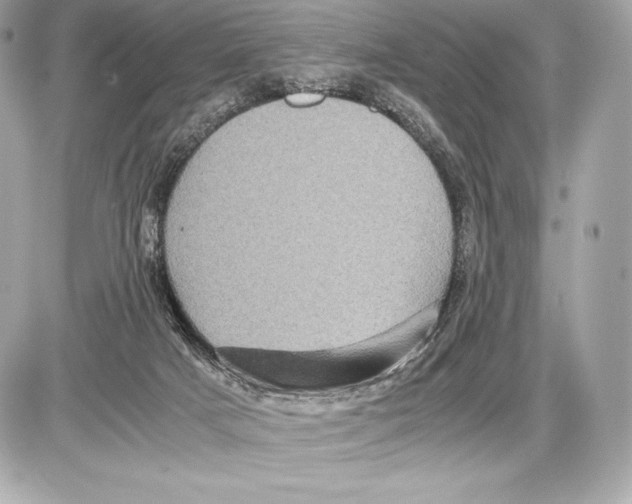 X0000085810025200704091618