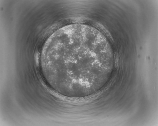 X0000085810026200704091618