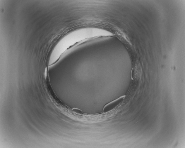 X0000085810027200704091618