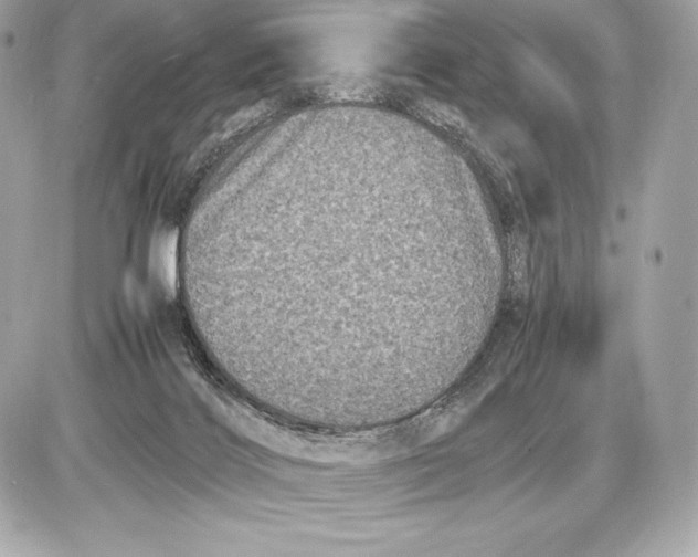 X0000085810028200704091618