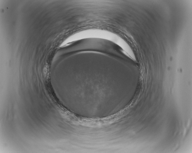 X0000085810029200704091618