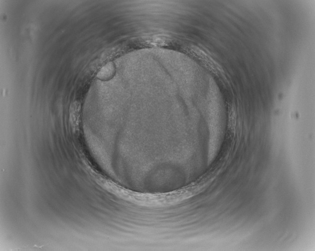 X0000085810030200704091618