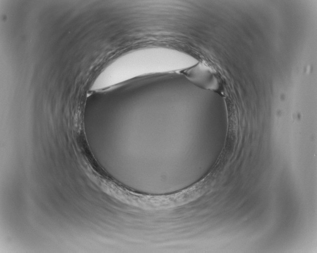 X0000085810031200704091618